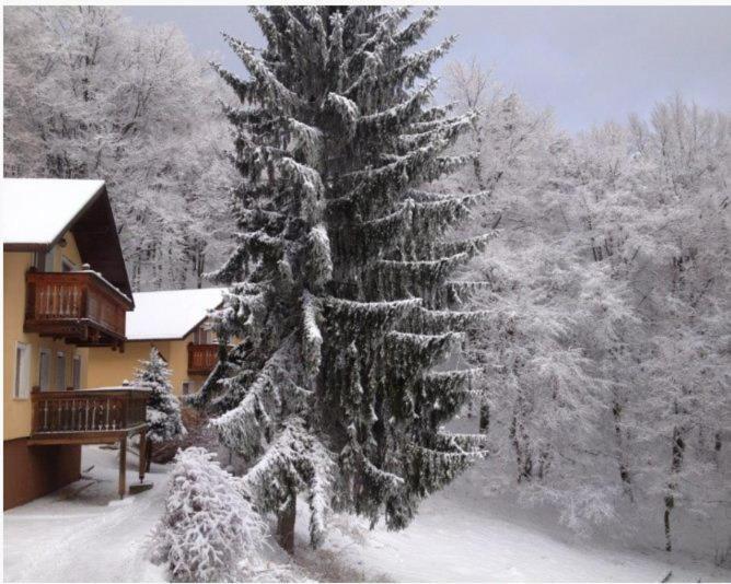 Hotel Inovec Nova Lehota Exteriér fotografie